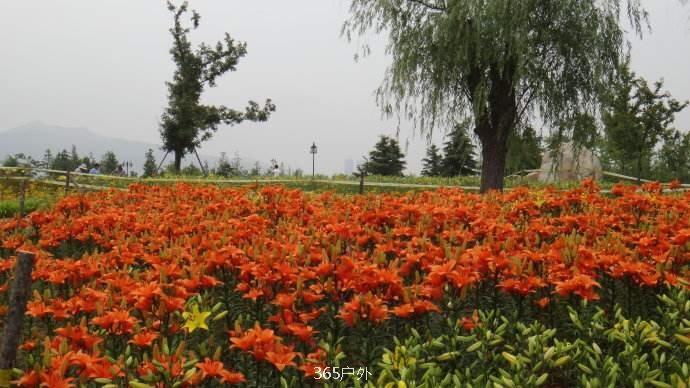 DD43386C-D389-4150-9493-DC66624B0495