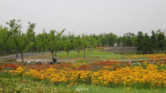 EB5C99EE-3571-47F1-A10D-4F4611798685