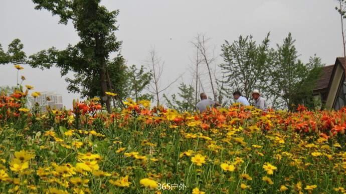 DDB355E4-5141-478B-9451-6B30C7CEFFF1