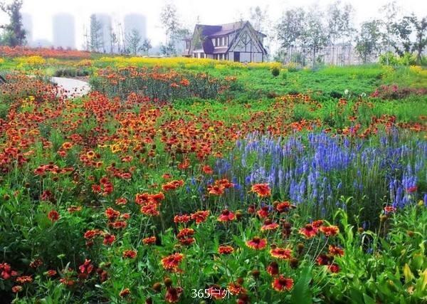 82EDA8EF-E70A-47F0-AF97-97A72077546D