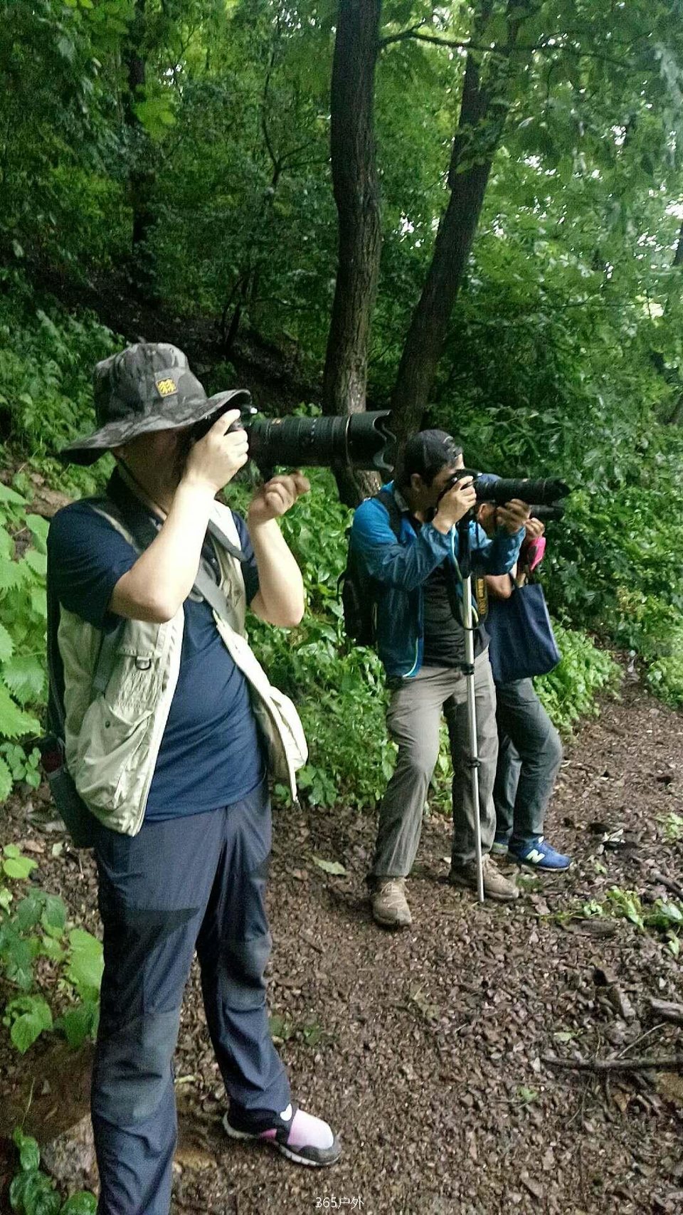 opZii7AuRFVgHeORgMDi7Ps55m86mL2YOjCDQTFhpxoDd_FqcqElPwH5Zh3D9og7