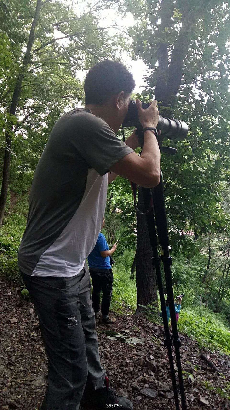 5Fn1EViWzsaEVJZAznVEzwkSmDv0NFi9B2X-p09cWoQUf8eKSK3jYXaDrkQbbGF6