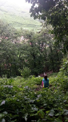 PxY-Z6myFerGLWq1CcSFFXjear7XdWCHrSZaY6F4Xv85u1B12NINO00r2D1I4Bnm