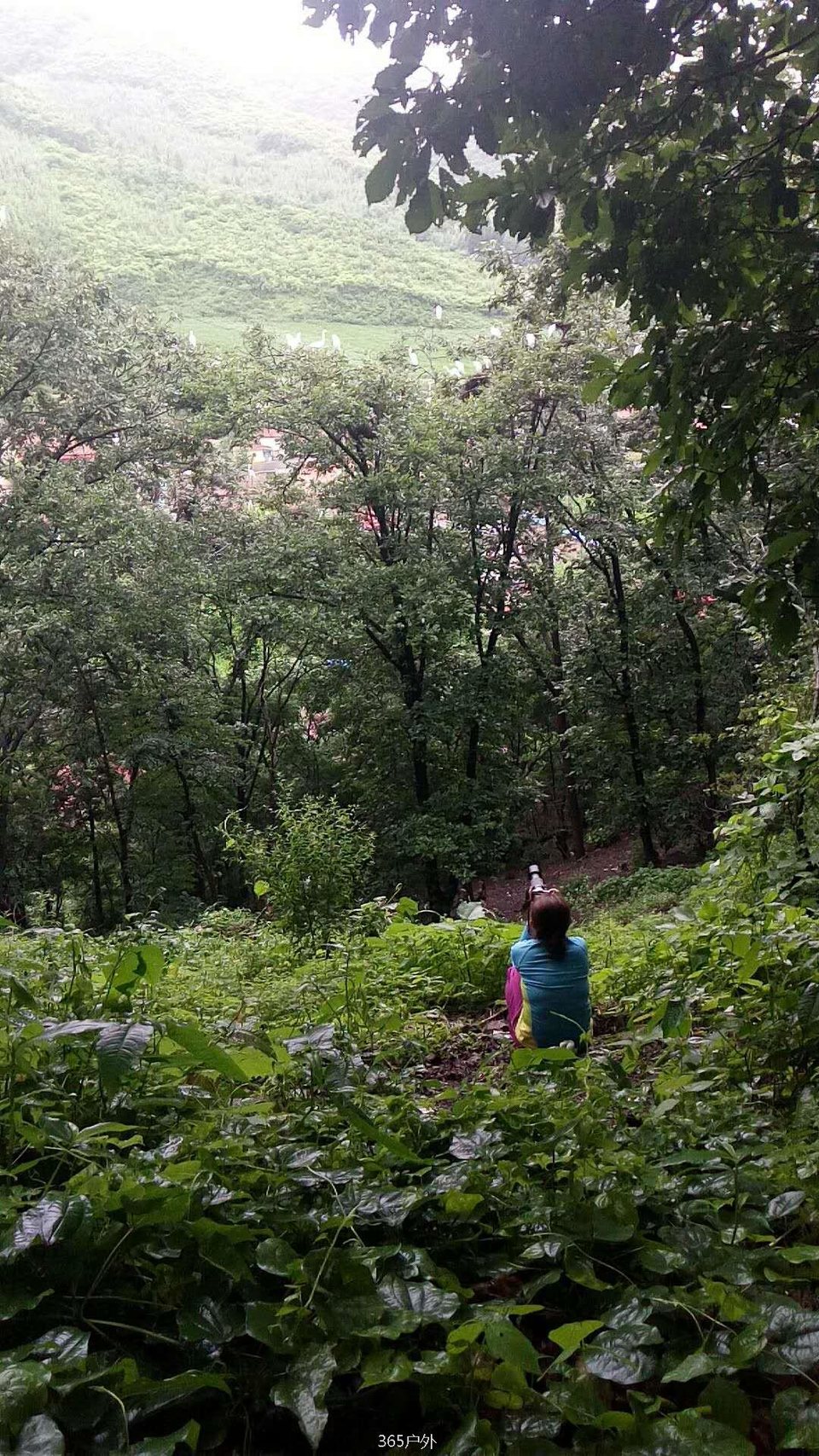 PxY-Z6myFerGLWq1CcSFFXjear7XdWCHrSZaY6F4Xv85u1B12NINO00r2D1I4Bnm