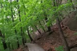 【视频】6月26日青山沟之虎塘沟、飞涧瀑