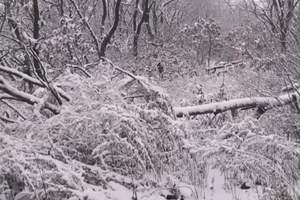 【短视频】见识下雪中的旅顺老铁山