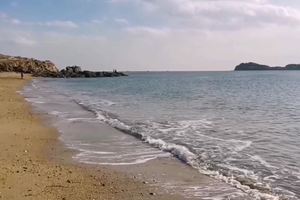 听，大海的声音