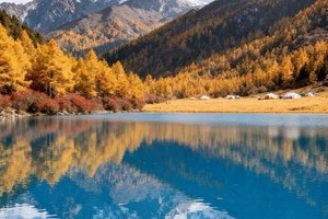 【秋之川西诱惑】双桥沟~中路藏寨~雅拉雪山~理塘~亚丁~鱼子西~新都桥~434秘境公路~牛背山~上里古镇~成都