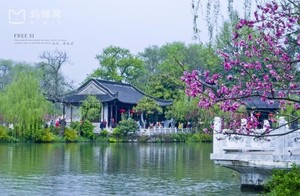 【清明行】遇见李中水上森林，船游千垛油菜花，江南三月多芳草，烟花扬州才最美。