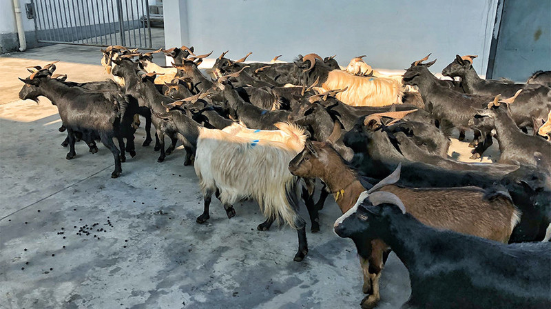 请添加图片名称