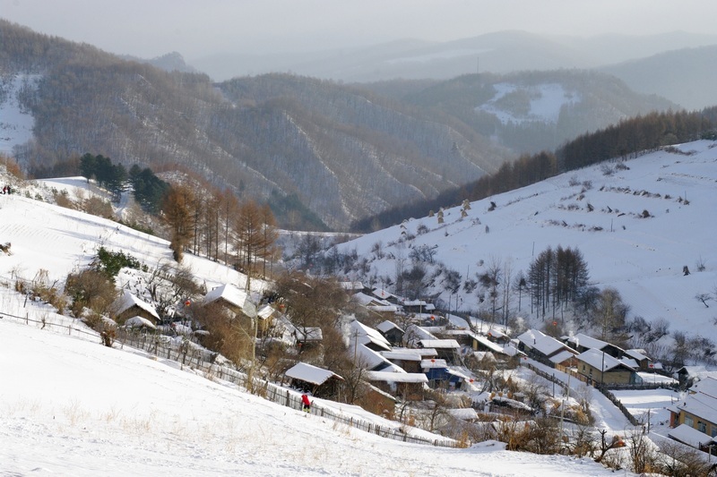 松岭的冬天,白雪皑皑,无边无际,山坳里堆满积雪的民房点缀在银白之上,半埋在雪中的屋檐就像盖在屋顶的棉被,梯田垄沟的曲线如同雕刻在山梁的版画,山坡远处墨绿色的树林,脚下起伏白色的山坡,弯曲的山路,篱笆墙的影子,晨起袅袅娜娜的炊烟,宛如在古老的宣纸上喷撒出一幅巨大的水墨丹青。