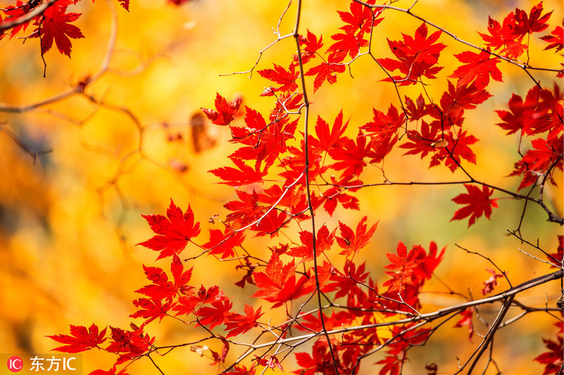 请添加图片名称