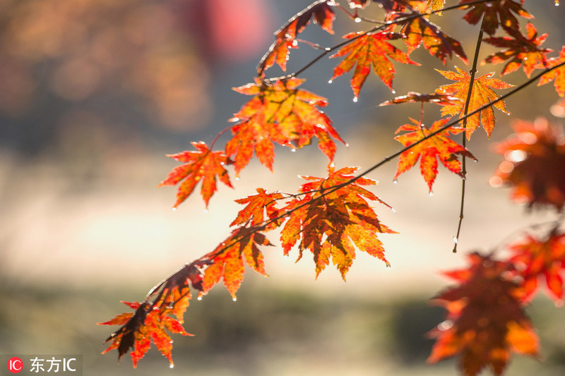 请添加图片名称