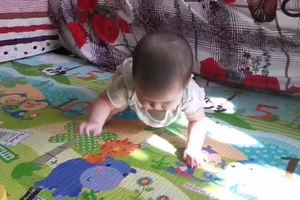 一一宝宝（19/1/23）