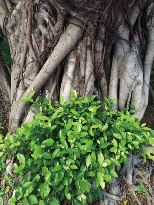 教你2招，用手机摄影秒杀朋友圈！