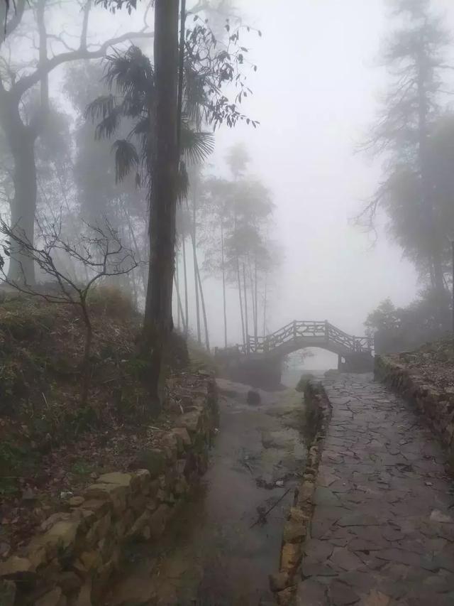 浙江有个“悬崖村”，藏在海拔800多米的深山中，绝美的天空之城