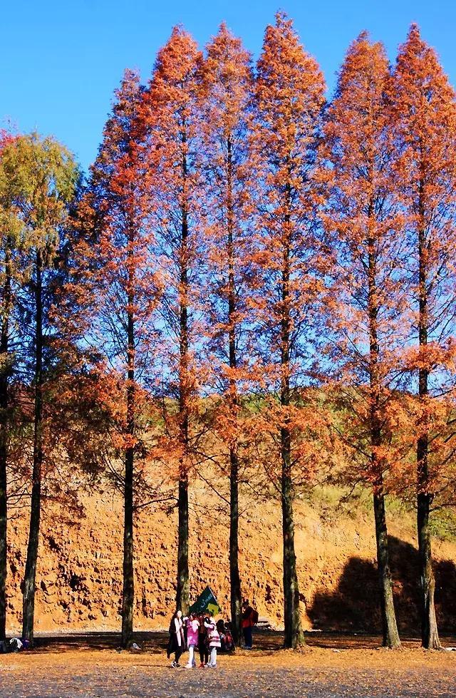 CNN评出中国隐藏的最美仙境！却少有人涉足…