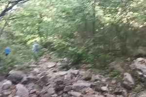 【视频】5月25日庄河云盘谷山地穿越