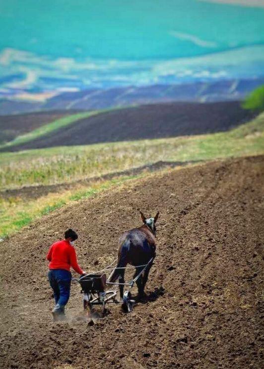 封闭半年，河北草原天路再次开放，再过10天，最美季节即将到来