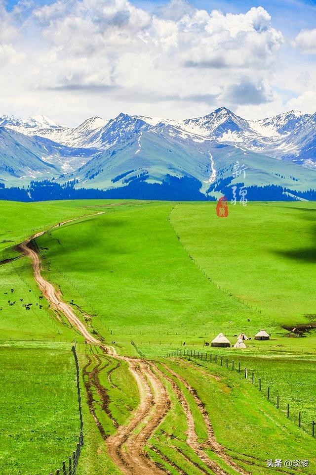 新疆有个最性感的“立体草原”，竟然比内蒙的草原还要美