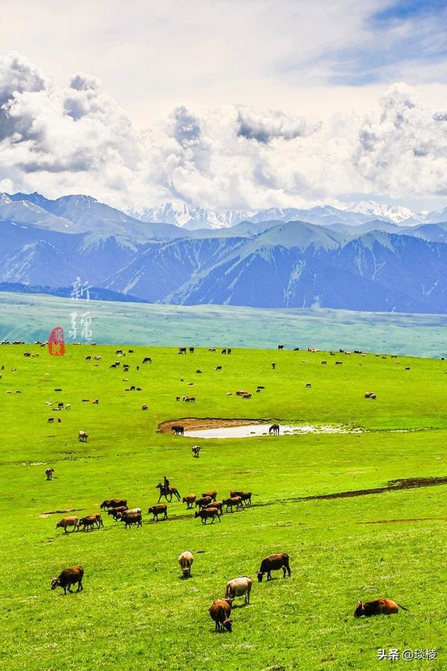 新疆有个最性感的“立体草原”，竟然比内蒙的草原还要美