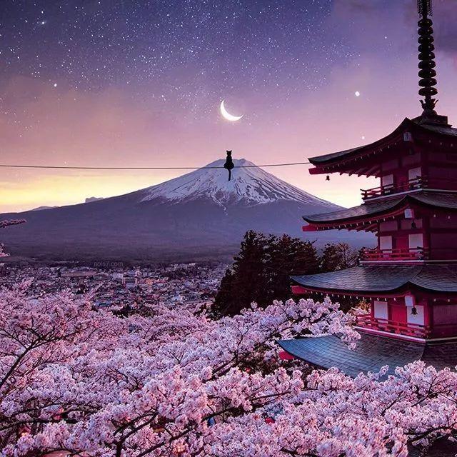 靠P图吸引130万粉丝？他的照片真的可以