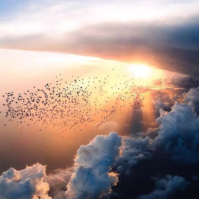 靠P图吸引130万粉丝？他的照片真的可以