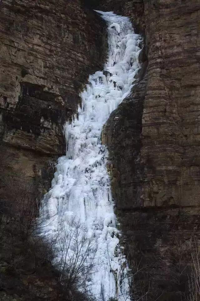 5年深入太行山600次，这个河南大叔拍出的照片让世人惊叹