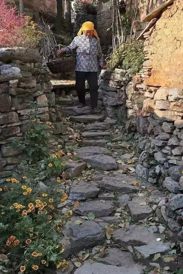 5年深入太行山600次，这个河南大叔拍出的照片让世人惊叹