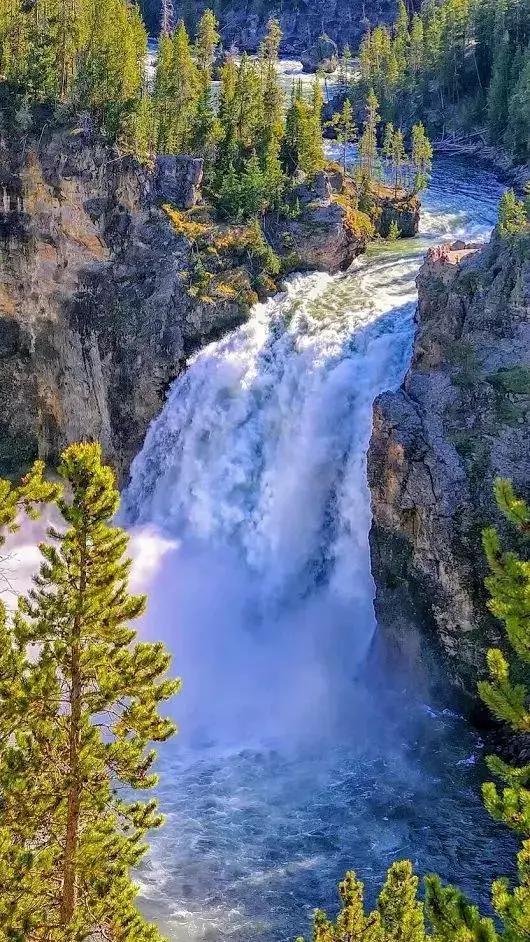 动物与自然难得一见的巧合之照