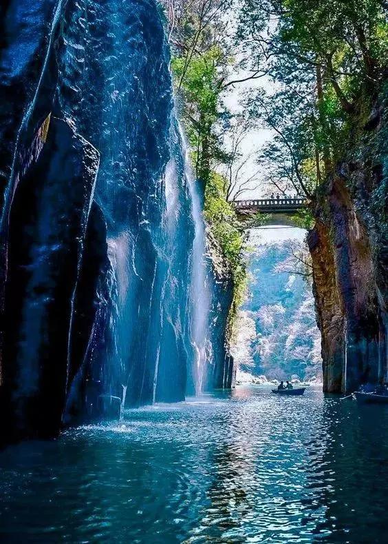 动物与自然难得一见的巧合之照