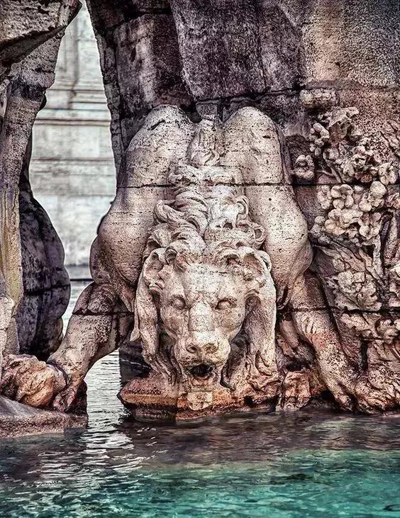 动物与自然难得一见的巧合之照