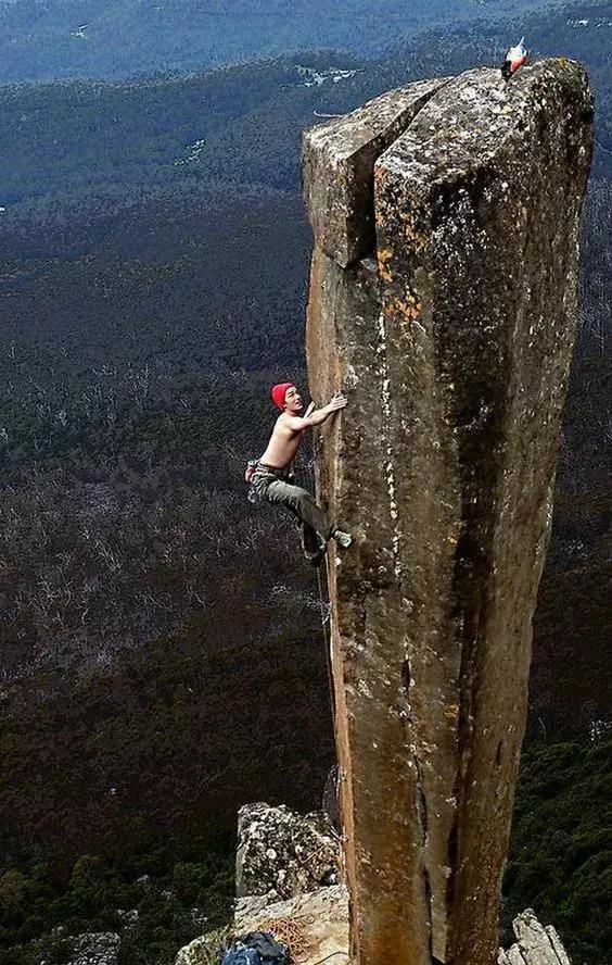 动物与自然难得一见的巧合之照