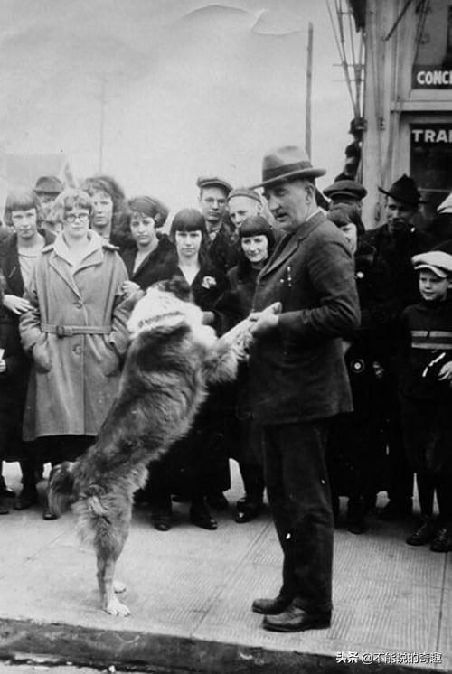 被称为“神奇的狗狗”：走失后踏遍千山万水，跨越4千公里终回家