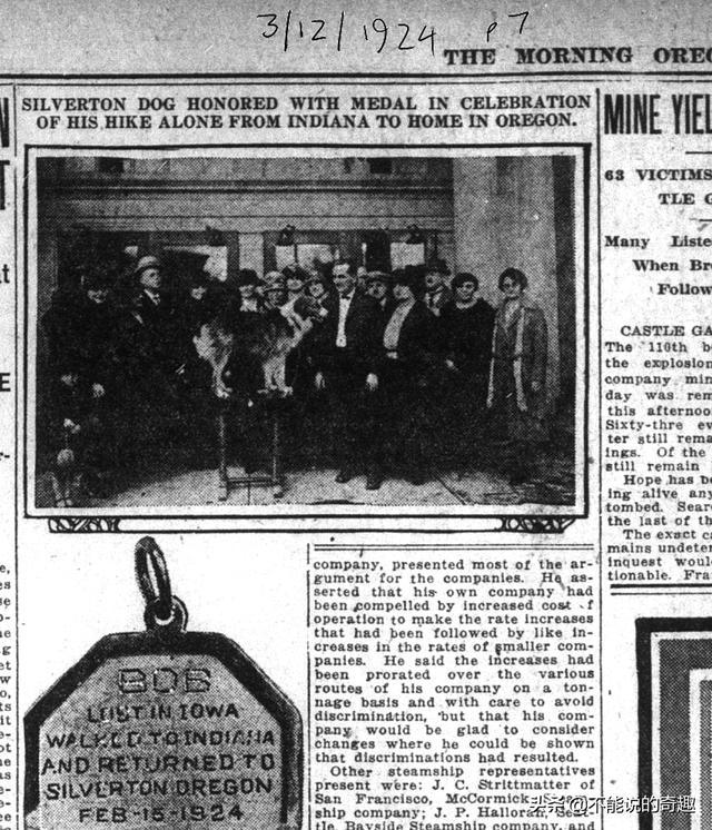 被称为“神奇的狗狗”：走失后踏遍千山万水，跨越4千公里终回家