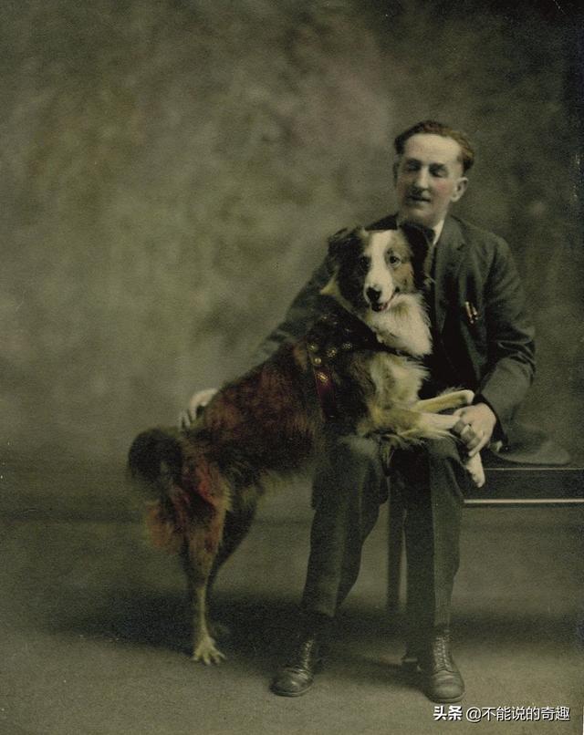 被称为“神奇的狗狗”：走失后踏遍千山万水，跨越4千公里终回家