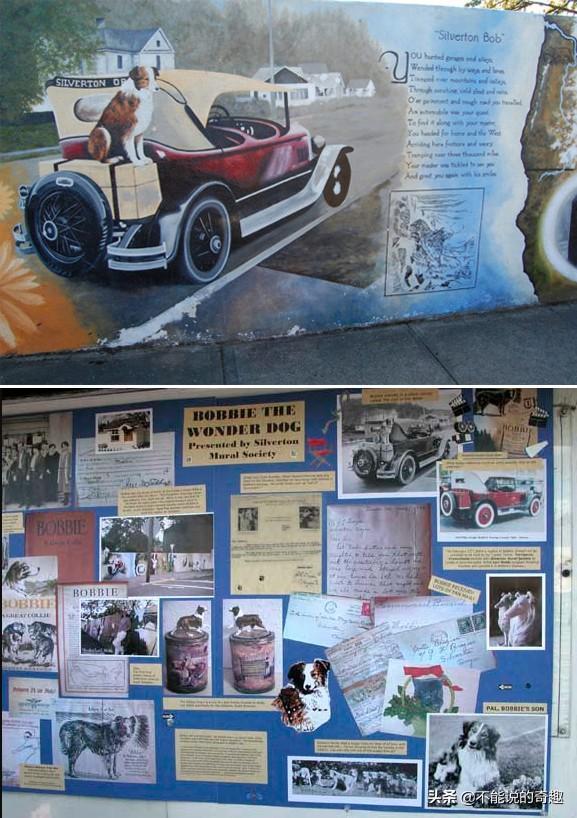 被称为“神奇的狗狗”：走失后踏遍千山万水，跨越4千公里终回家