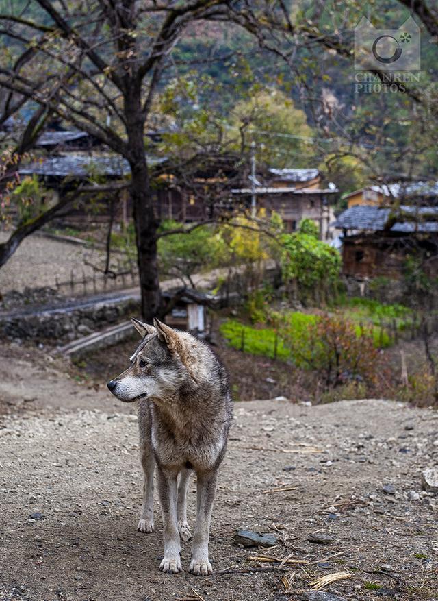 怒江峡谷一次惊悚而神奇的自驾游