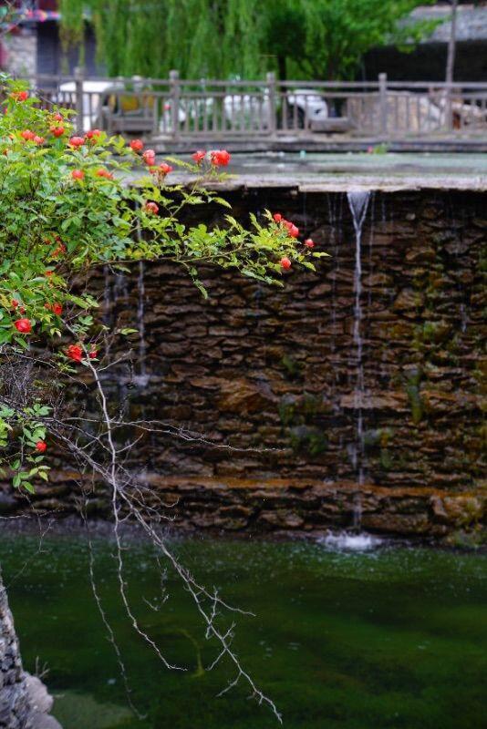 失恋后，我去了色达，在4000米海拔上高反2次，差点要凉！