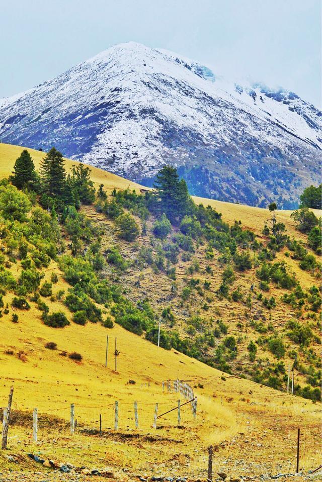 失恋后，我去了色达，在4000米海拔上高反2次，差点要凉！