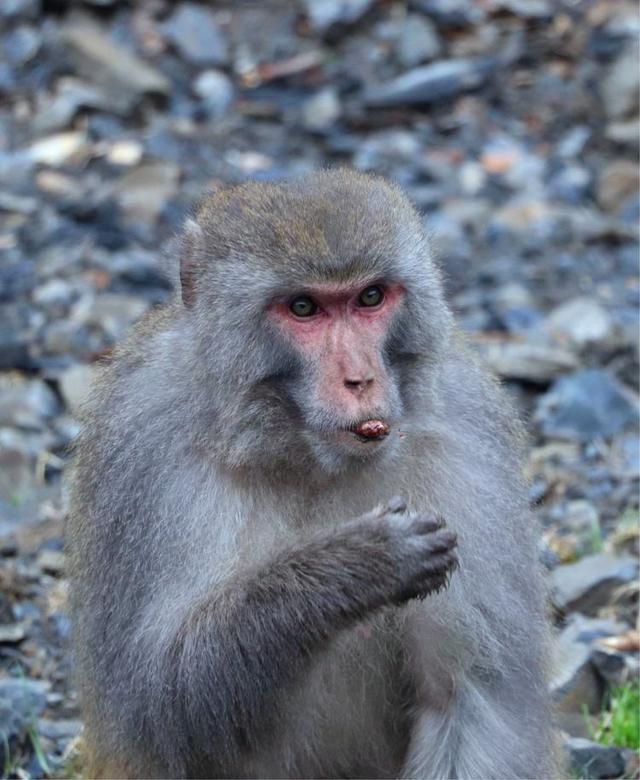 失恋后，我去了色达，在4000米海拔上高反2次，差点要凉！