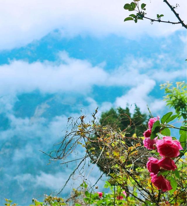 失恋后，我去了色达，在4000米海拔上高反2次，差点要凉！