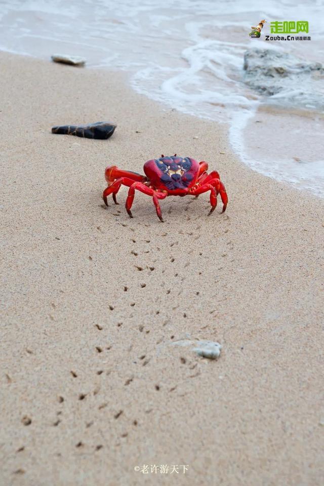 “宁愿死在路上，也不想死在病床上！”走遍世界，他们夫妇做到了