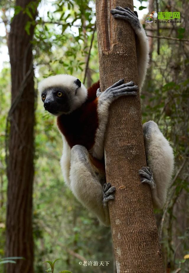 “宁愿死在路上，也不想死在病床上！”走遍世界，他们夫妇做到了