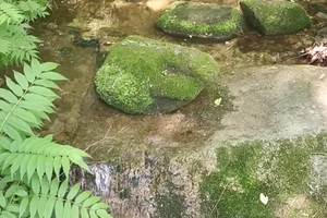 【视频】6月14日岫岩清凉山行