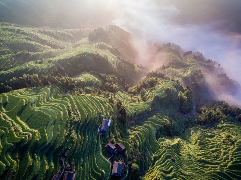 川南黔北：酒与粱的天作之合｜高粱记Ⅱ