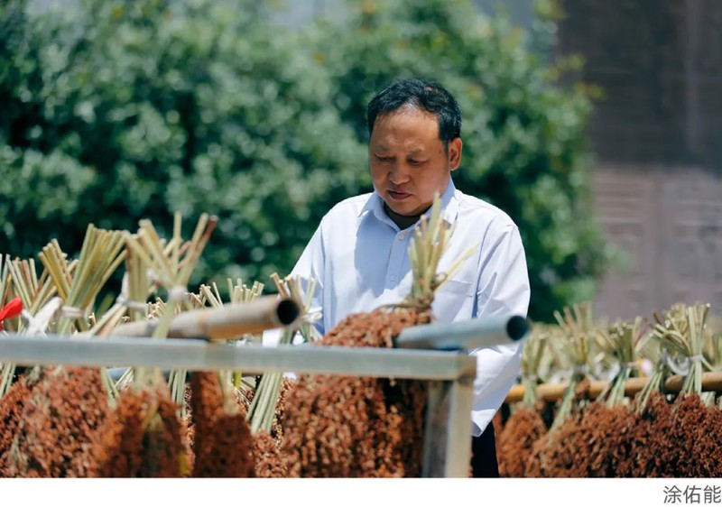 川南黔北：酒与粱的天作之合｜高粱记Ⅱ