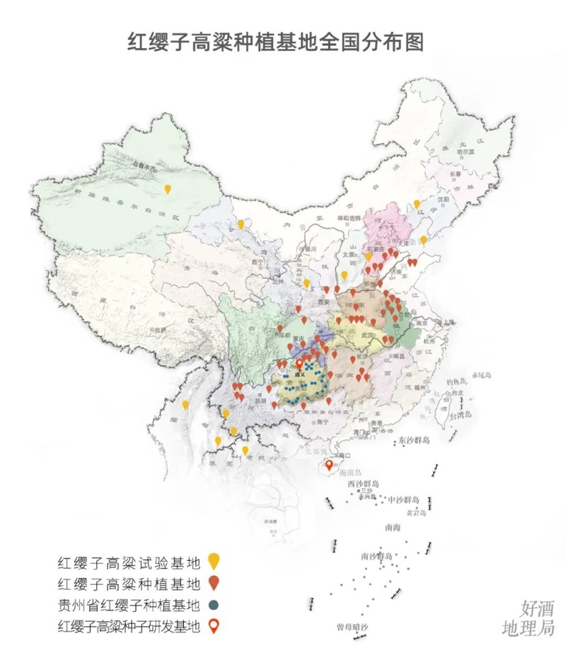 川南黔北：酒与粱的天作之合｜高粱记Ⅱ