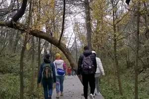 【视频】张家界＊天门山上走两步