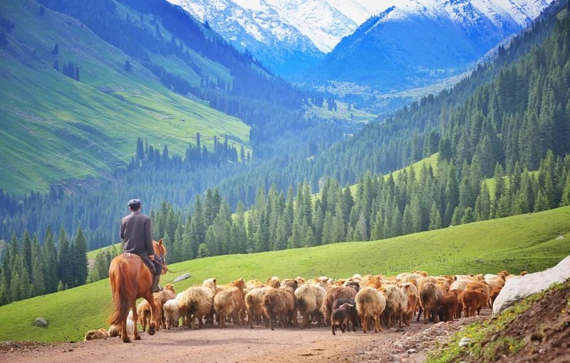 大胆预测！2021必火的15个旅行地，各个都是此生必去系列